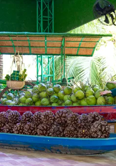 Nhiều hoạt động nổi bật trong chương trình  "Ân nghĩa quê dừa, Khát vọng vươn xa"