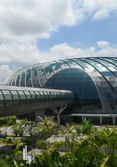 Công bố sân bay tốt nhất thế giới