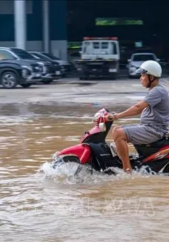 Xuất hiện đợt triều cường mới ven biển Đông Nam Bộ