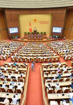 Phê duyệt Đề án “Định hướng lập pháp nhiệm kỳ Quốc hội khóa XVI của Chính phủ”