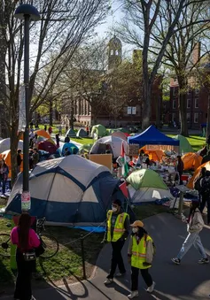 Đại học Harvard mất hàng tỷ USD vì từ chối cải tổ
