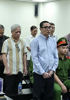 Cựu Tổng Giám đốc Tổng Công ty Chè Việt Nam bị đề nghị mức án 11-12 năm tù