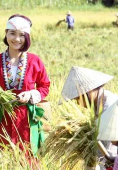 Thanh Hóa: Hồi sinh một triền đồi và giấc mơ bền vững của cô gái Thổ