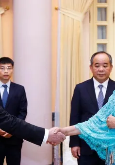 Chủ tịch nước Lương Cường tiếp Phó Tổng Thư ký Liên hợp quốc Amina Mohammed