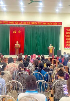 Hạ Long: Hoàn thành lấy ý kiến cử tri về việc sắp xếp các đơn vị hành chính cấp xã