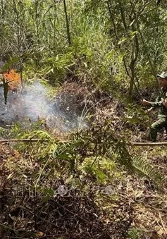 Nắng nóng kéo dài, Cao Bằng liên tiếp xảy ra nhiều vụ cháy rừng