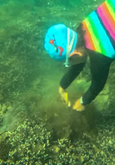 Nha Trang: Thu gom 100kg ngư cụ "Giải cứu" san hô Hòn Chồng