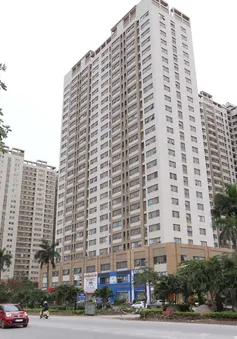 Người trẻ có thêm cơ hội "an cư lạc nghiệp"