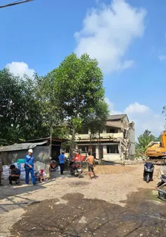 Đồng Nai: Tháo dỡ 15 công trình tại KCN Biên Hòa 1 để chuyển đổi công năng