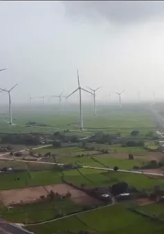Vai trò của các dự án đầu tư công trong phát triển kinh tế - xã hội