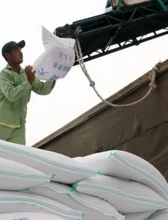 Việt Nam còn dư địa để tăng xuất khẩu gạo