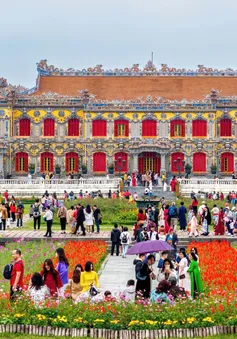 Miễn phí tham quan Đại Nội Huế về đêm dịp 50 năm ngày Giải phóng miền Nam