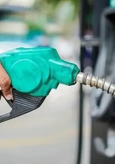 Giá xăng, dầu tăng đồng loạt trở lại