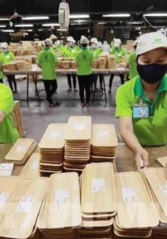 Nhiều luật mới có hiệu lực: Doanh nghiệp cần cập nhật để tận dụng ưu đãi