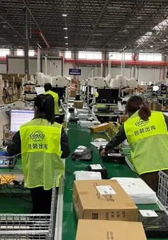 Thuế quan phủ màu u ám lên doanh nghiệp toàn cầu