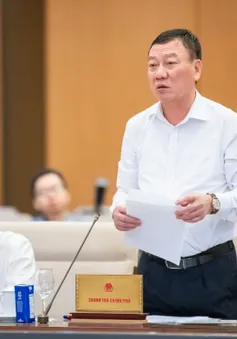 Sắp xếp hệ thống cơ quan thanh tra theo 2 cấp ở Trung ương và địa phương