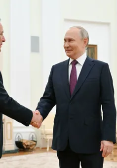 Cuộc hội đàm giữa Tổng thống Putin và đặc phái viên Mỹ Witkoff mang tính xây dựng