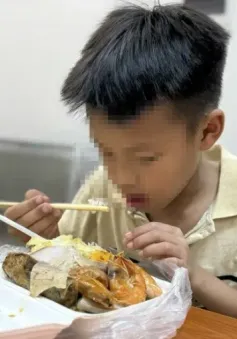 Bé trai 9 tuổi đi lạc khi đạp xe từ Hà Nội vào TP Hồ Chí Minh xem diễu binh