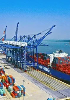 Đề xuất quy định mới về tổ chức, hoạt động của Cảng vụ hàng hải, Cảng vụ đường thủy nội địa
