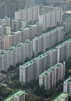 Quỹ Nhà ở Quốc gia: Bài học cho Việt Nam từ kinh nghiệm quốc tế