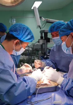 Bệnh viện ở miền Tây thực hiện thành công 10 ca ghép thận liên tiếp