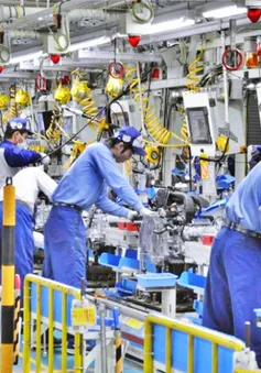 Những thuận lợi khi Việt Nam hợp tác kinh tế với Nhật Bản
