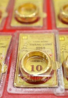 Vàng miếng và vàng nhẫn neo ở mức cao