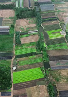 Cận cảnh Khu công nghệ cao sinh học 199 ha tại Bắc Từ Liêm sắp triển khai