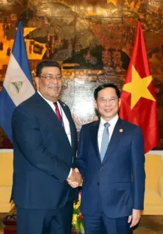 Phó Thủ tướng Bùi Thanh Sơn tiếp Bộ trưởng Nicaragua và Algeria