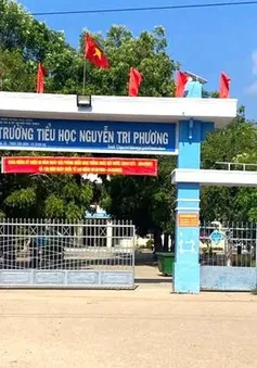 Gia Lai: Tạm giữ hình sự thầy giáo nghi dâm ô với nhiều nữ sinh tiểu học