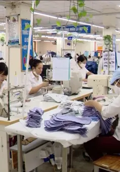 Thách thức đảm bảo an toàn lao động với các hiệp định FTA thế hệ mới