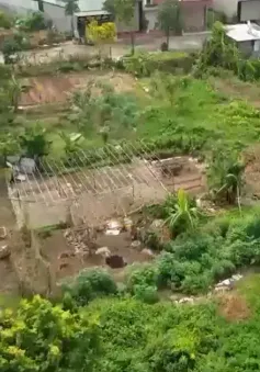 Bất cập về tách thửa đất dịch vụ