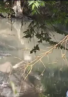 Hà Nội: Dự án chậm, mương thành "ổ rác", dân sống chung với ô nhiễm