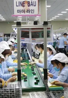 Vốn đầu tư trực tiếp nước ngoài thực hiện cao nhất 5 năm