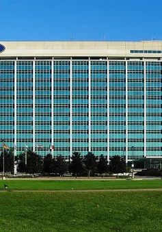 Ford mất 1,5 tỷ USD vì thuế quan