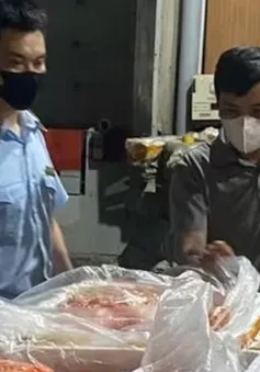 Phát hiện hơn 7 tấn trứng non, tràng gà, nầm lợn trong kho đông lạnh ở Hà Nội