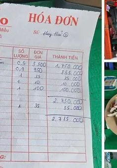 Vụ bán cá bò hòm 3,5 triệu đồng/kg: Phạt chủ bè gần 21 triệu đồng