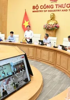 Thúc đẩy thực hiện các thỏa thuận thương mại với Hoa Kỳ