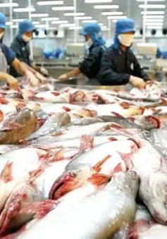 Trung Quốc trở thành thị trường xuất khẩu thủy sản lớn nhất của Việt Nam