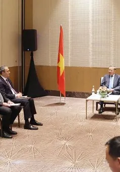 Việt Nam sẵn sàng tăng cường hợp tác với các doanh nghiệp lớn của Azerbaijan