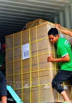 Xuất khẩu chính ngạch đường hoa dừa hữu cơ sang Mỹ