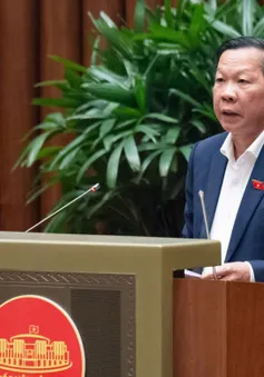 Áp thuế nước giải khát có đường vì sức khỏe của người tiêu dùng