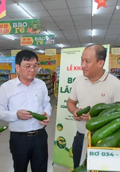 Khai mạc chương trình “bơ 034 Lâm Đồng – hành trình xanh cùng Bách Hóa Xanh”