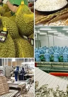 Bảo đảm sản xuất, tiêu thụ, xuất khẩu nông, lâm, thủy sản