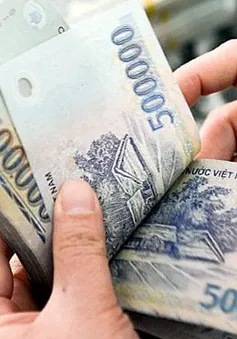 Hướng dẫn mới nhất về lao động, tiền lương, tiền thưởng