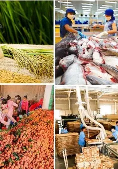 Bảo đảm sản xuất, tiêu thụ, xuất khẩu nông lâm thủy sản trong bối cảnh biến động thương mại toàn cầu