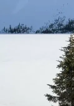 Trải nghiệm tuyến đường đẹp nhất Canada