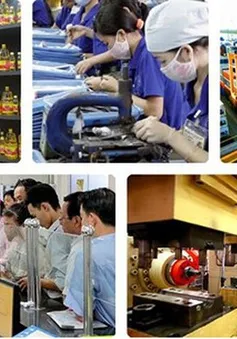 Thủ tướng yêu cầu chấn chỉnh kỷ cương, tăng cường trách nhiệm, tạo môi trường kinh doanh thuận lợi cho doanh nghiệp