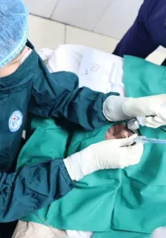 Nghệ An: Cứu sống bệnh nhân 70 tuổi bị tràn dịch màng tim do lao