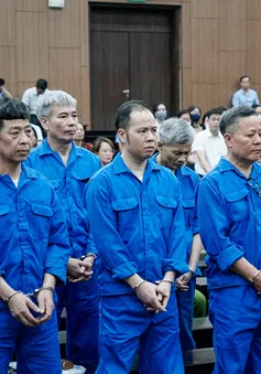 Chủ tịch Công ty Thái Dương: 'Không nhờ vả, chi vật chất để xin giấy phép'